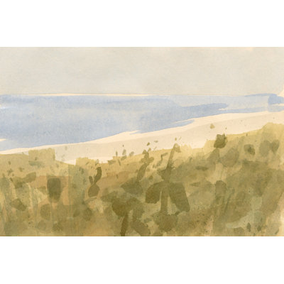Brushy Coast II