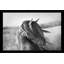 Fierce Grace par - photographie-1283421000-1283421003