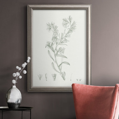 " Botanical Study In Sage II "