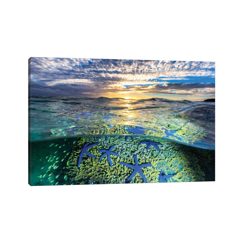 A Sea Of Stars by Jordan Robins - Print on Canvas, Wrapped Canvas, 66.04cm H x 101.6cm W x 3.81cm D