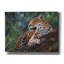 «Bungalow Rose» Jaguar In Tree2 par David Stribble, art mural sur toile-1519084348