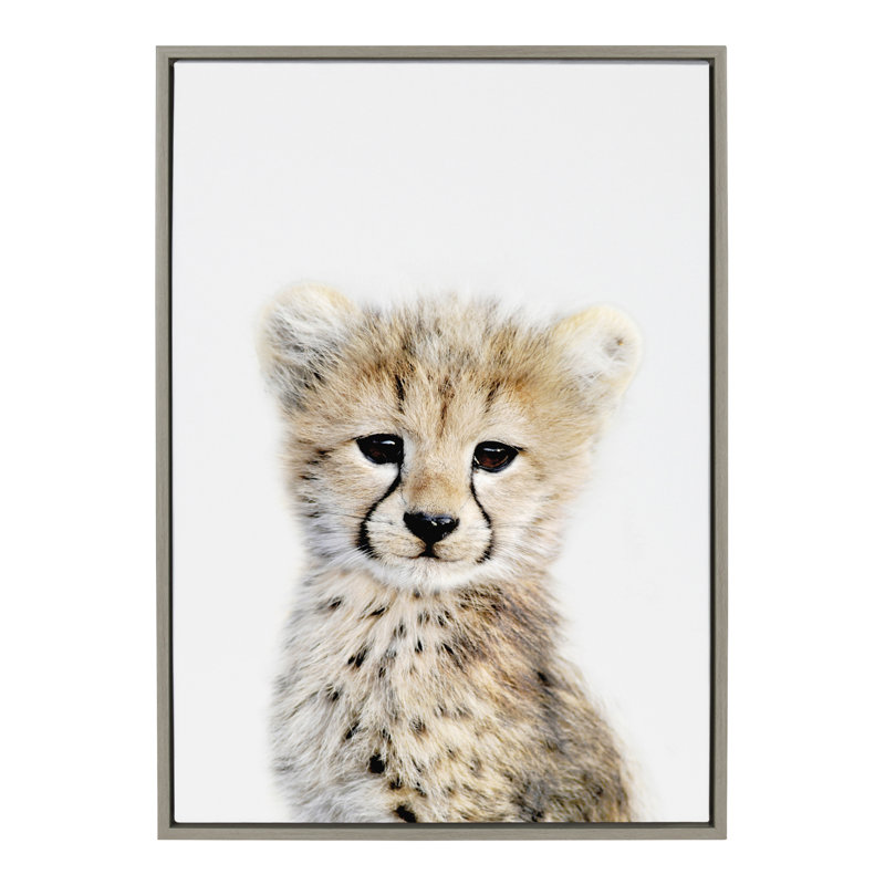 'Animal Studio Cheetah 18x24 Framed Canvas.jpg' by Amy Peterson - Floater Frame Photograph Print on Canvas, Gray Frame