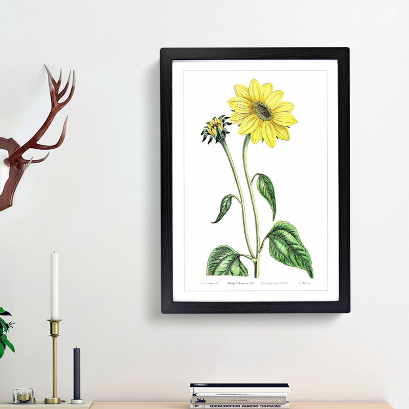 Trumpet Stalked Sunflowers - Framed Print, 48cm H x 36cm W x 2cm D, Black Framed