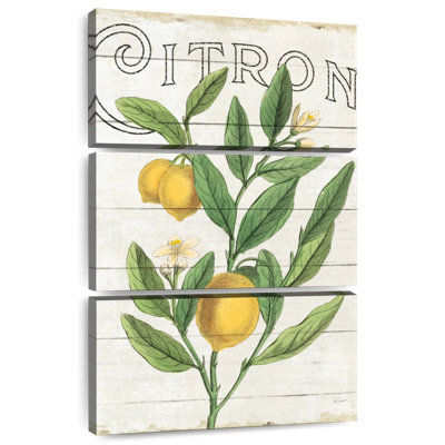 Yarlin Classic Citrus I Shiplap