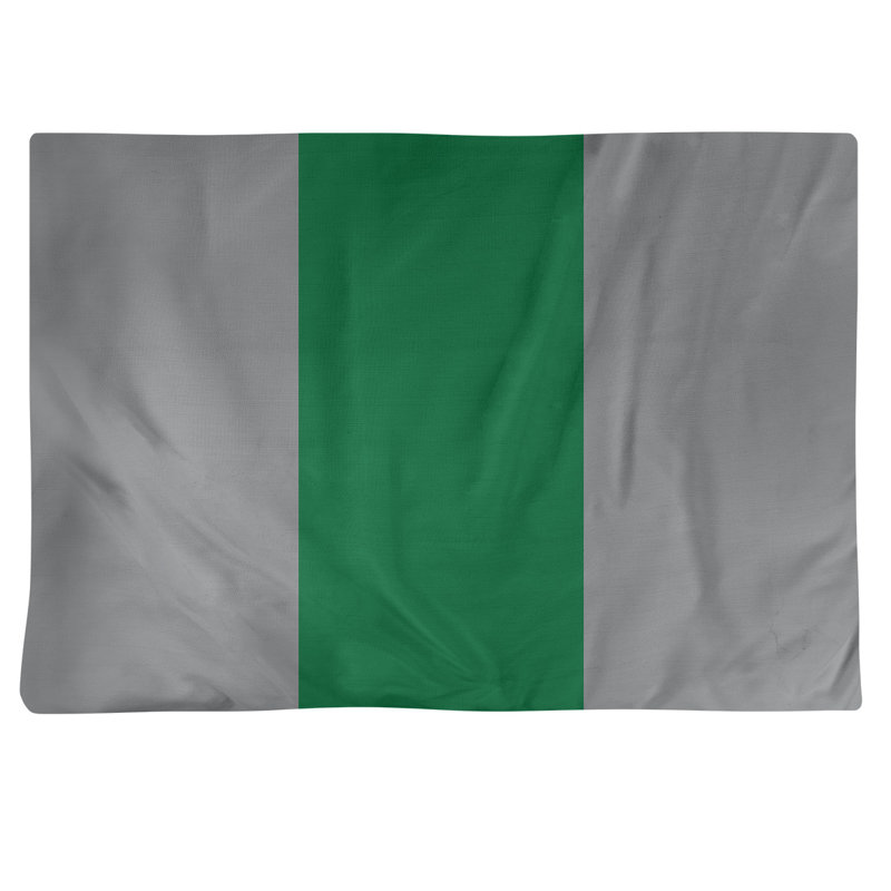 Récapitulatif 18" à rayures de football Philadelphia, Argenté / Vert