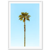 Lonely Palm Print by Carly Tabak