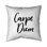 Carpe diem - 20"x20" Throw pillow - Poly twill - Print on demand