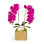 Orchid in Planter