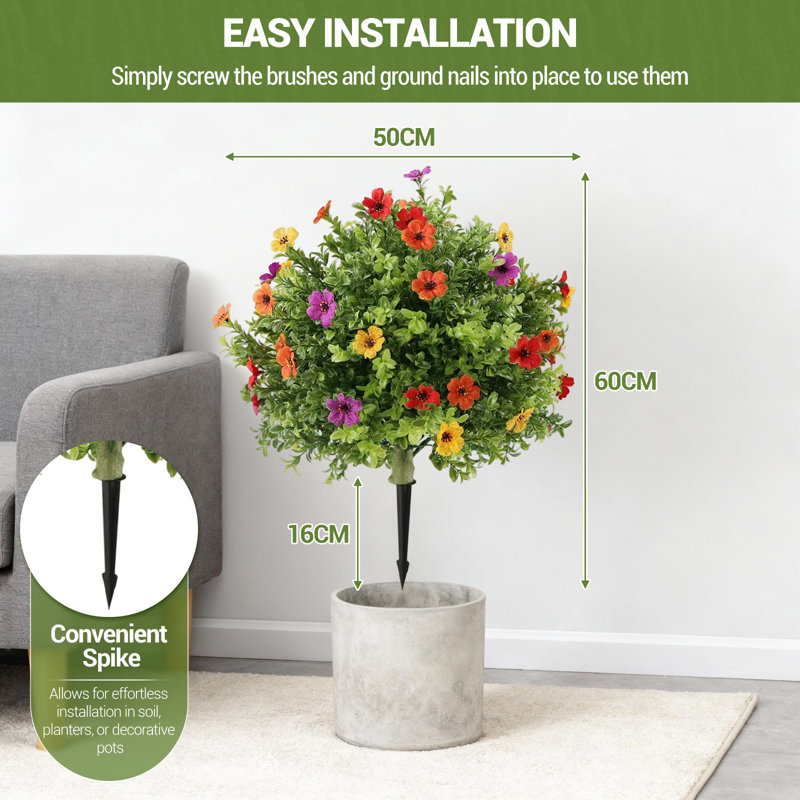 60cm Plant