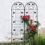 Paquet de 2 treillis de jardin en métal antirouille pour plantes grimpantes-138921870-135920811