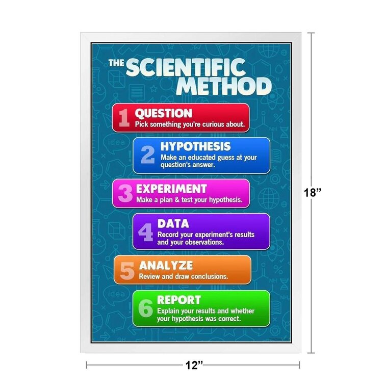 scientific method display board