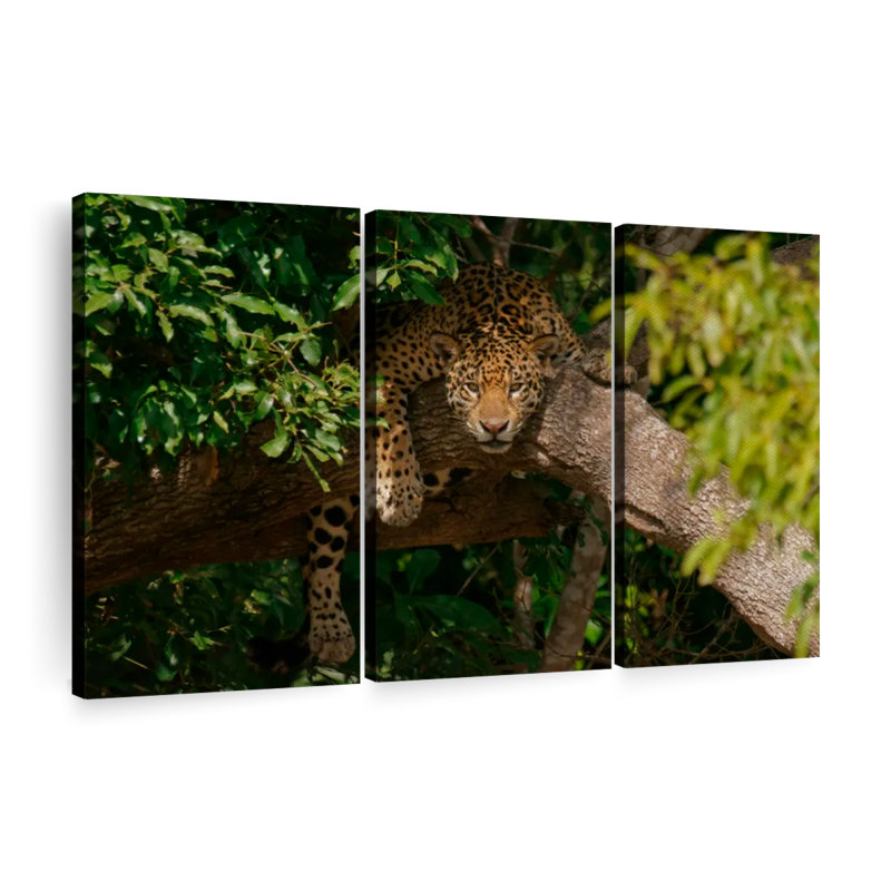 «Cozy Tree Jaguar» sur, H 36 po x l 57 po x P 1,25 po