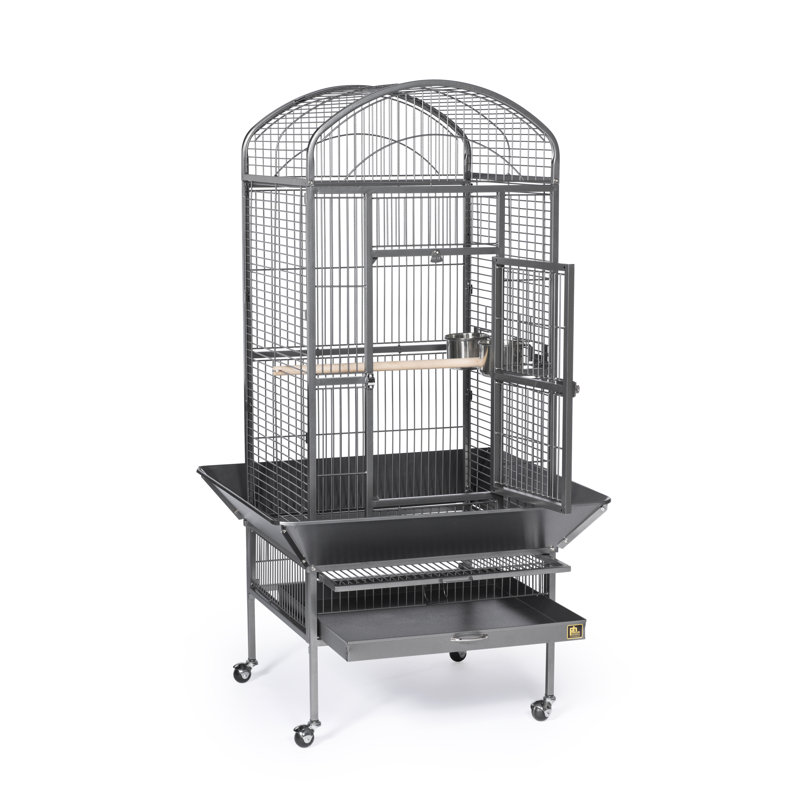 Large Black Dome Top Bird Cage with Stand