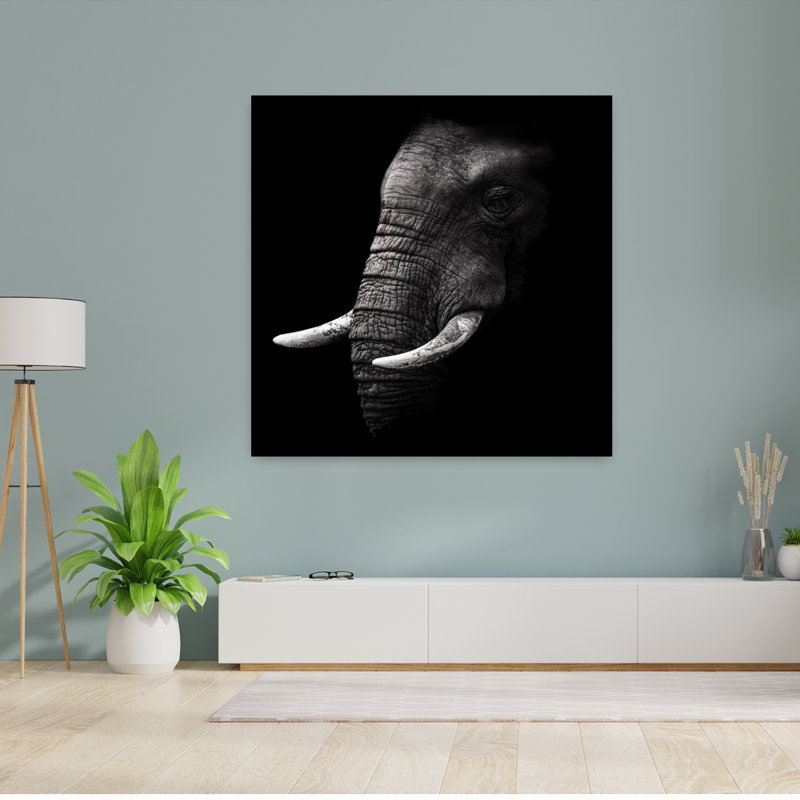 Art contemporain Art éléphant contemporain, H 48 po x l 48 po