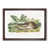 Walnut Framed