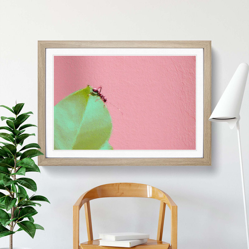Red Ant - Picture Frame Photograph Print, Oak Framed, 48cm H x 65cm W x 2cm D