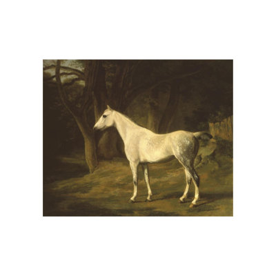 Forest Dapple Print by Jacques Agasse