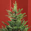 HOMCOM 5 Foot Artificial Christmas Tree with Realistic Hinged Branches, Green