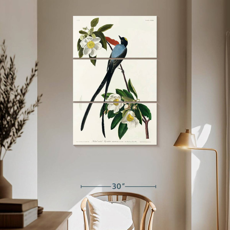 Fork-Tailed Flycatcher, 65" H x 42" W