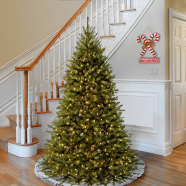 Princeton fir lighted artificial fir christmas tree Clearance