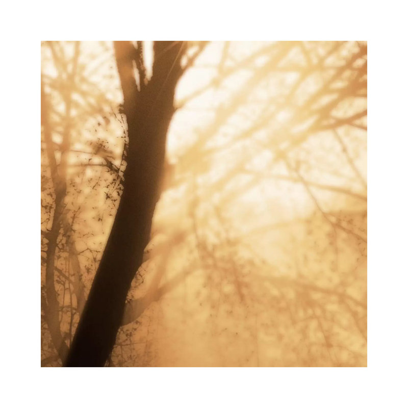 Epiphany III by Marvin Pelkey - Wrapped Canvas Gallery-Wrapped Canvas Giclée, 66.04 cm H x 66.04 cm W x 1.91 cm D