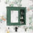 Wall Mounted Bathroom Storage Cabinet-1673182726