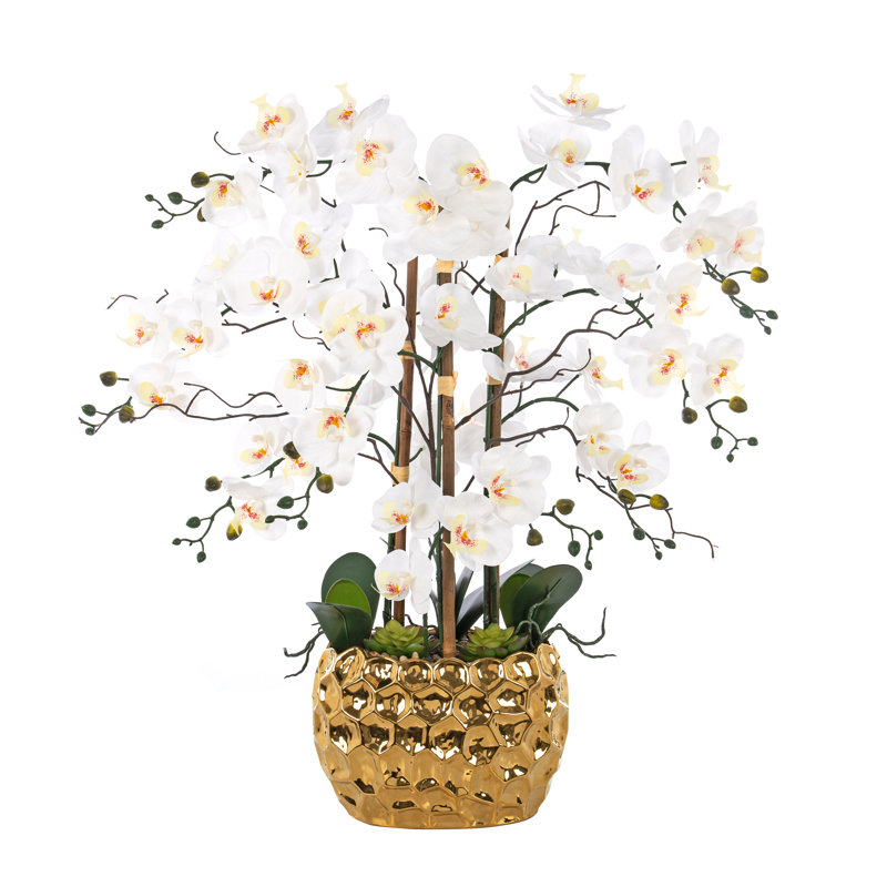 Arrangement floral orchidée phalaenopsis