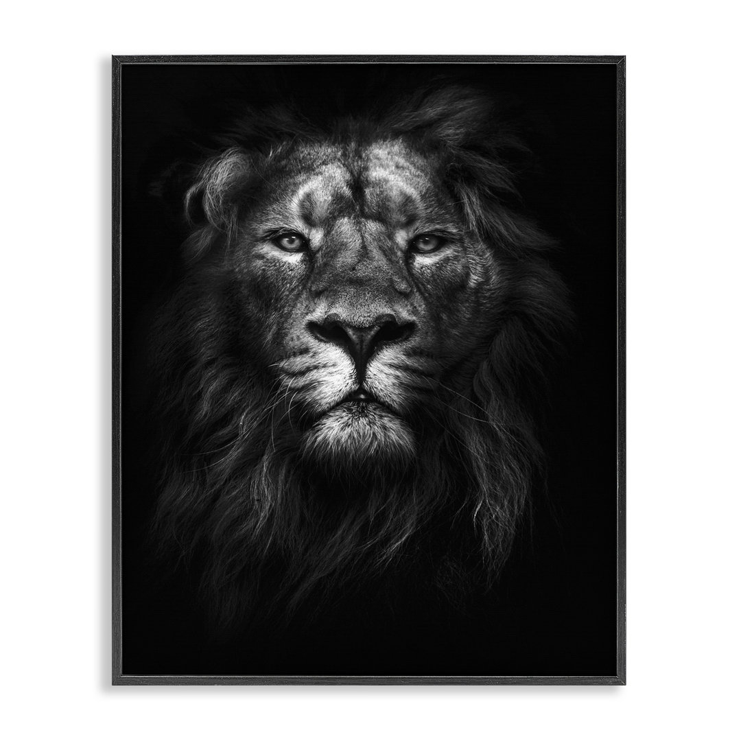 Dunfermline 'King of the Jungle Lion In Shadows Black and White' by Design Fabrikken Graphic Art Print World Menagerie Frame 