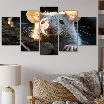 Mignon rongeur - reproduction d'art mural animaux - 5 panneaux