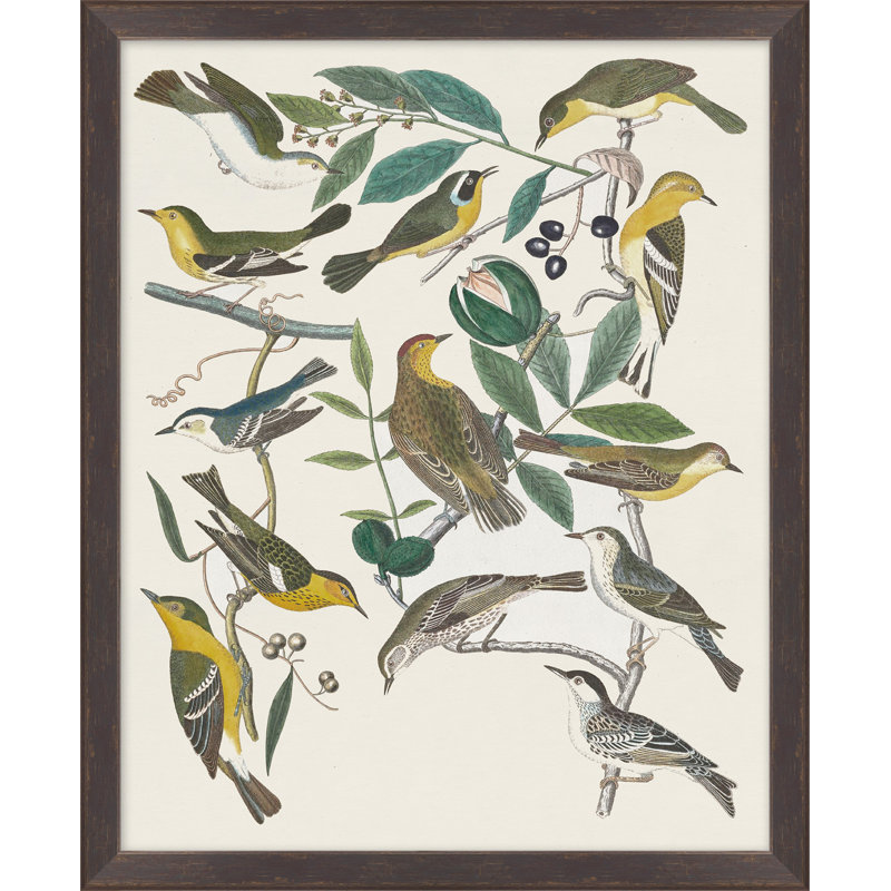 Bird Chart 2 Print by Nathan Turner