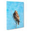 Hawk Perched In A Tree - Wrapped Canvas-56665213
