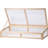Aakifah 2 Ft W x 4 Ft D Cold Frame