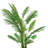 Artificial Palm Plant in Planter-1521529999
