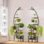 Support pour plante Renetia-1796624132