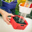 Ensemble de 2 contenants alimentaires Scheid-596607003