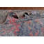 Tapis indien moderne et abstrait bleu 6 x 9