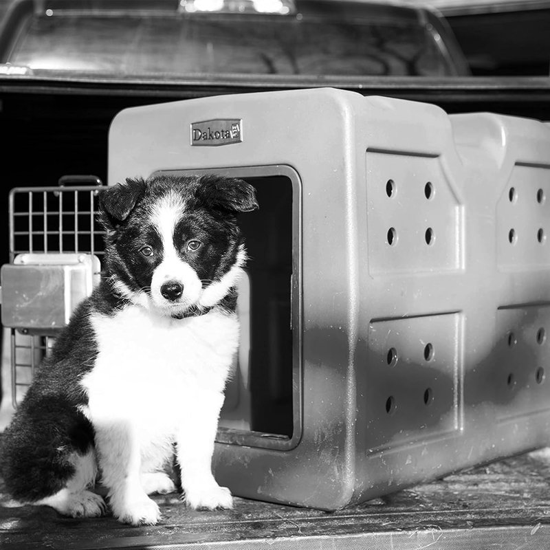 G3 SMALL Plastic Pet Crate with 1 Door, Dark Gray