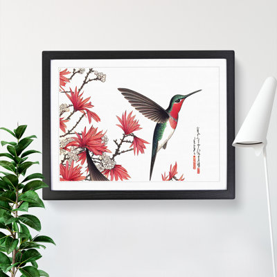 Japanese Hummingbird - Single Picture Frame Print