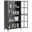 Armoire de rangement en métal noir de qualité supérieure avec portes en verre trempé, tablettes réglables, dispositif anti-basculement, fermeture silencieuse magnétique et pieds réglables pour la maison et le bureau