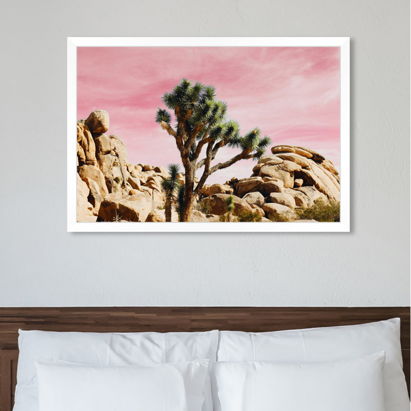 « joshua tree rose », impression, H 38 po x l 56 po x P 0,5 po, Cadre photo