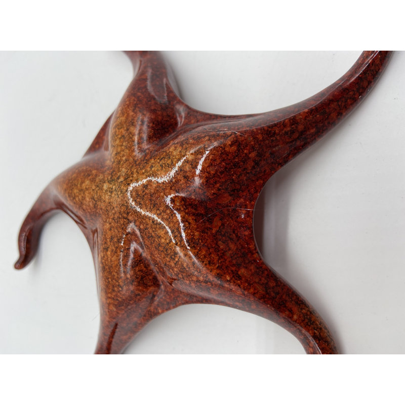Grande étoile de mer Lydd