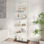 Glass 78.5 cm W Display Cabinet-1400248785