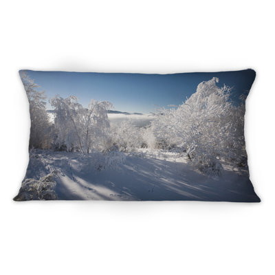 Throw Pillow