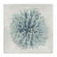«Coral Ball Blue Sea Beach» par Caroline Kelly - impression d'art graphique-219873109-222565445