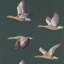 Elysian Geese Wallpaper-50888836