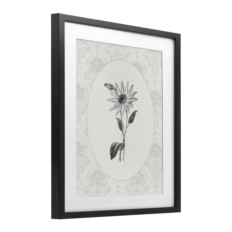 «Antique Botanical & Lace», impression par CAD Designs, Cadre noir minuit, H 16 po x l 13 po