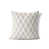 Taupe Geometric