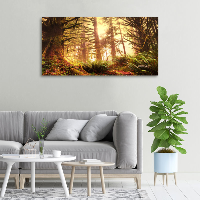 The Rainforest - No Frame Print on Canvas