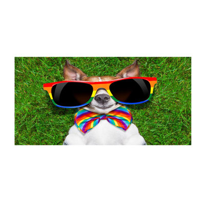 Dog Themed Quick Dry Microfiber Beach Towel, Super Absorbent Sand Free Bath Towel Gift For Pool And Travel, 30x60in Multicolor