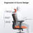 Ashendon Ergonomic Mesh Office Chair with Adjustable Lumbar Support and Padded Armrests for 300lbs-1142399076